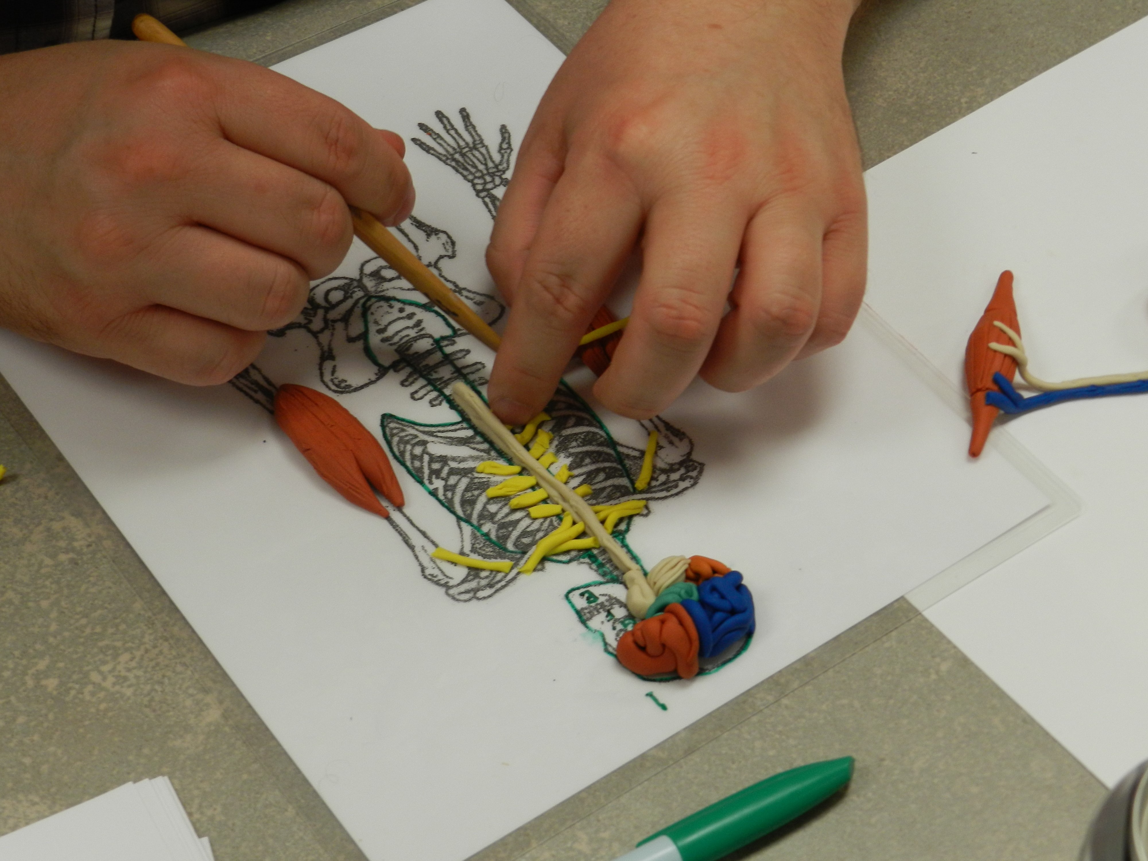 Starla's Creative Teach Tips