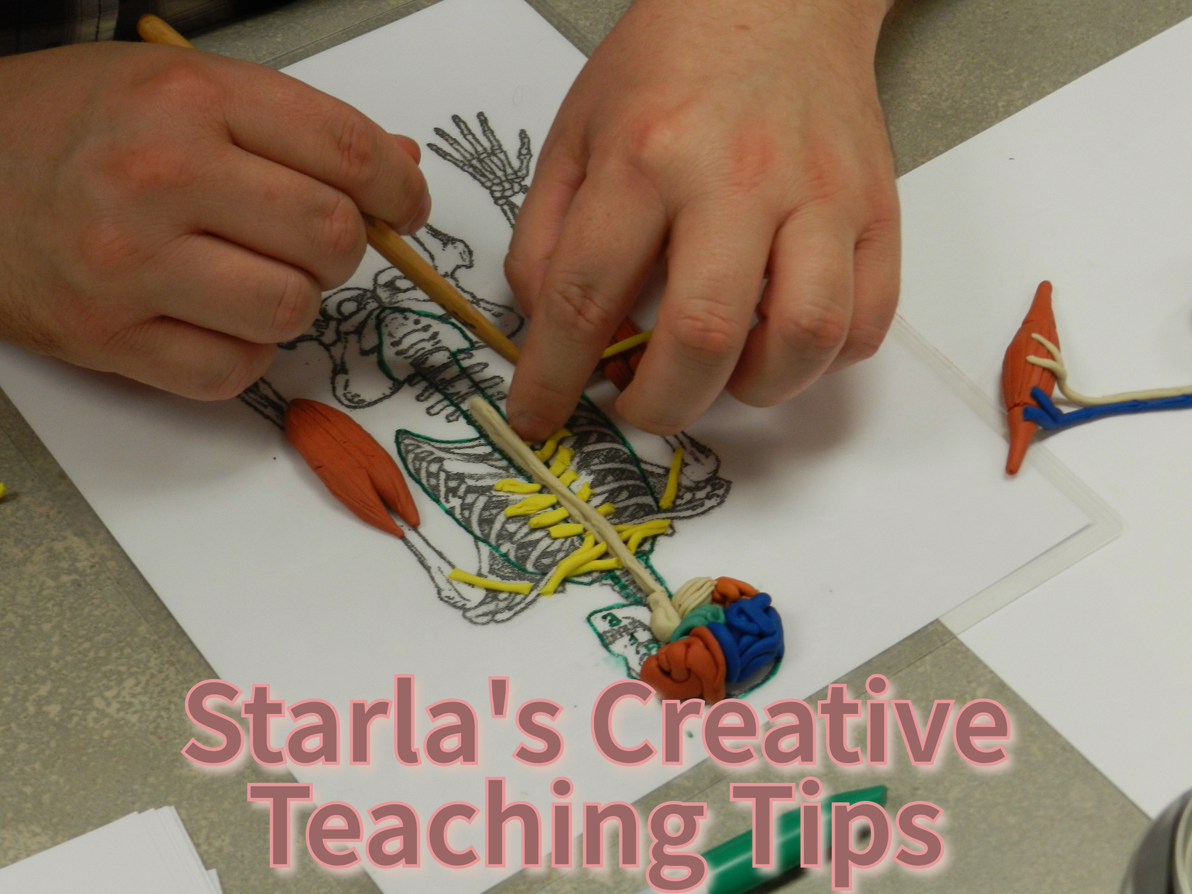Starla's Creative Teach Tips